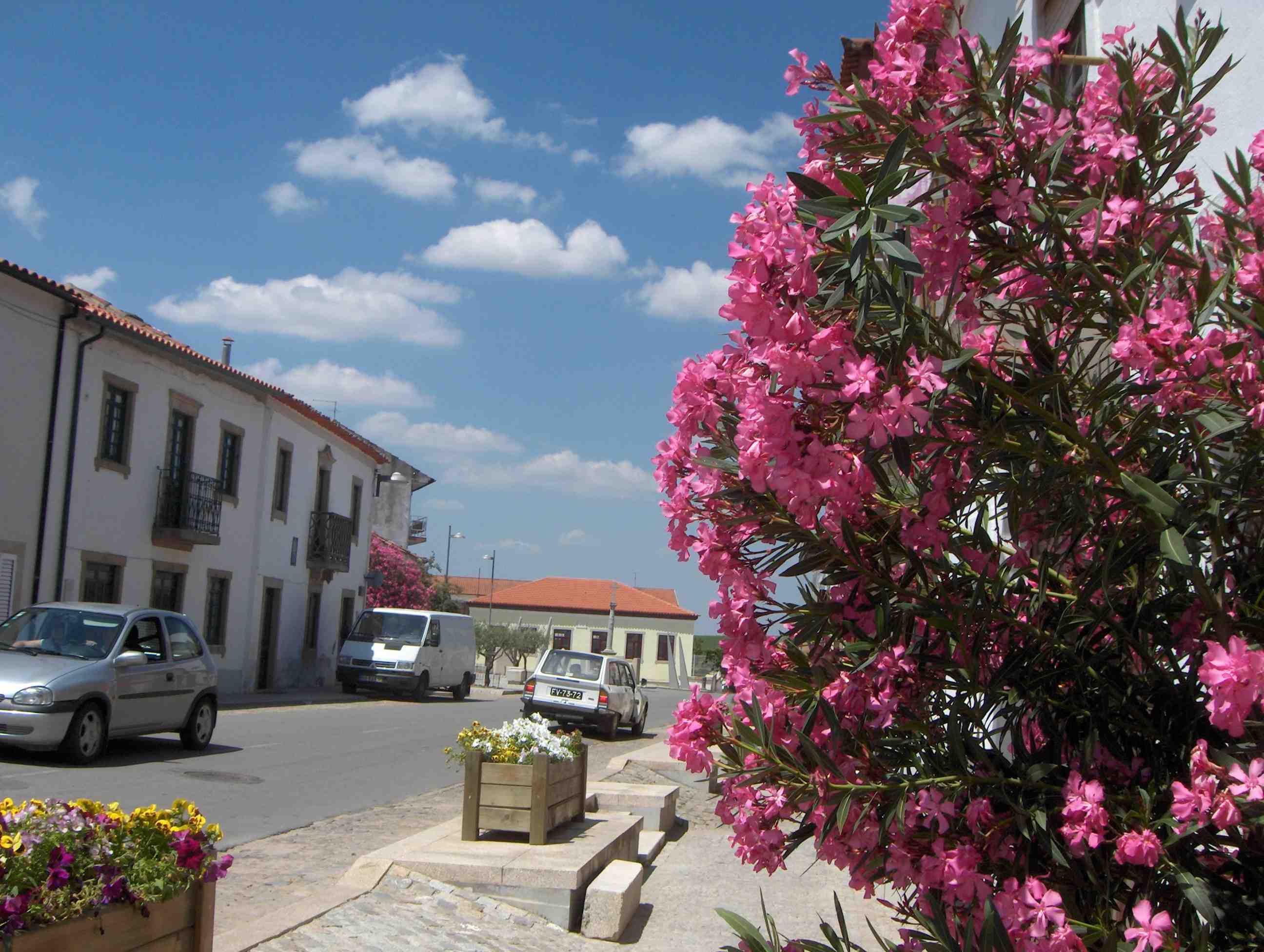 Anquantos ls garotos de las scuolas agarrórun férias, Sendin deixa-se star al sol, tranquilo i guapo...