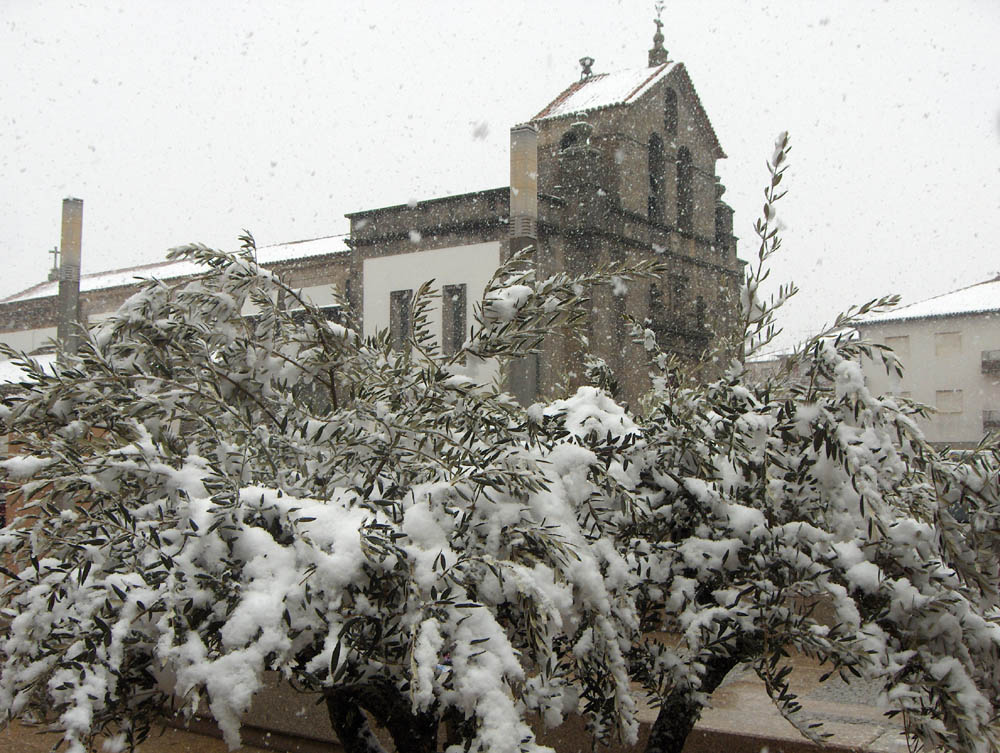 Apuis, onte, l die... birou-se nesto! I hoije cuntina...