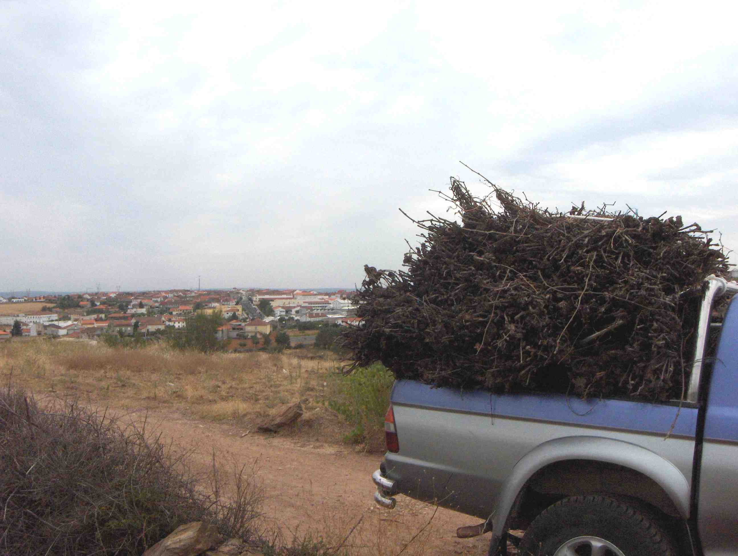 Anquanto l Berano ampeça cun rodeios d'adius i Sendin miraba de longe para mi, carreguei ua buona carroçada…