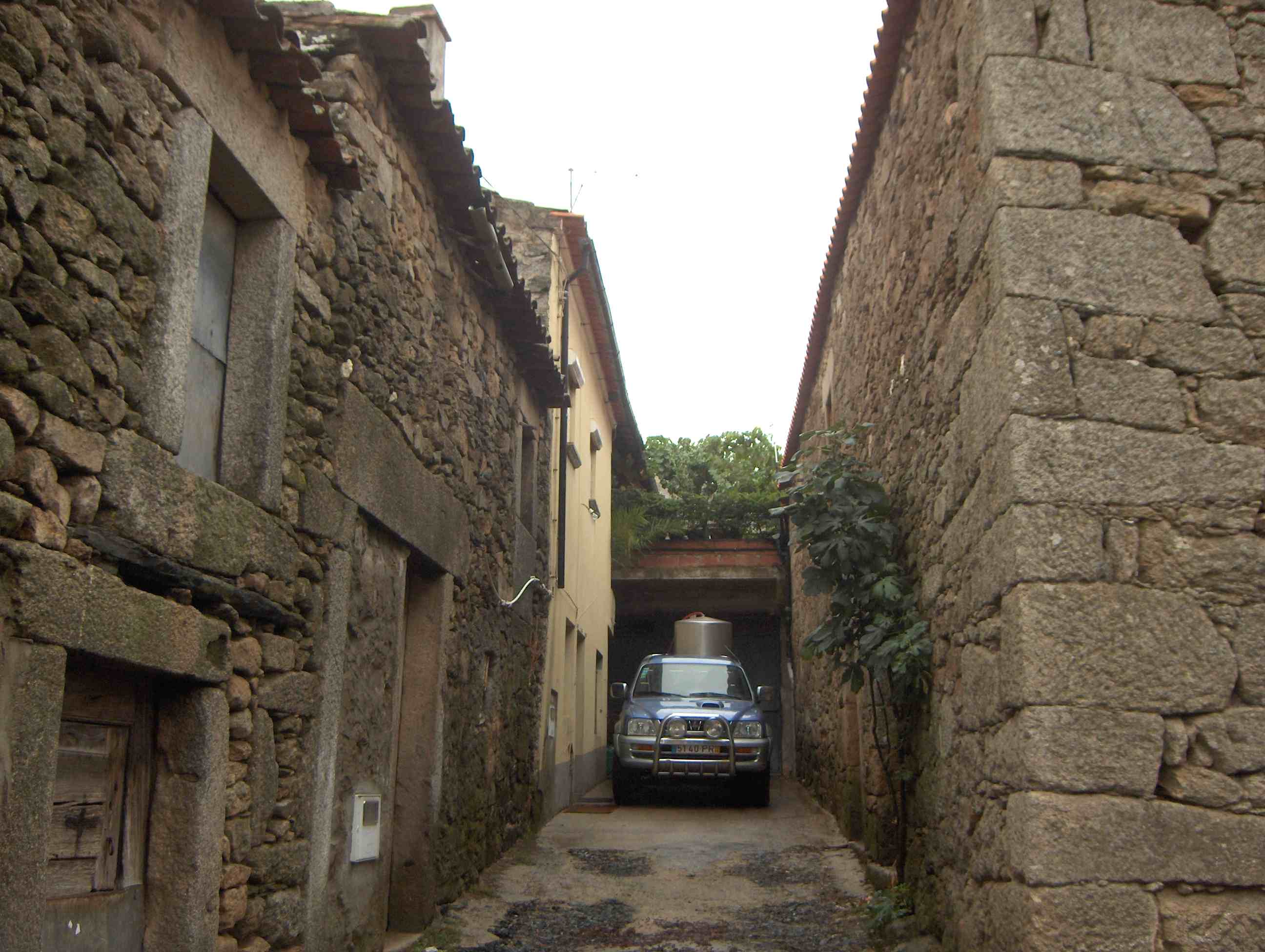 Mesmo al fondo dun guapo curral de l bielho Sendin, fiç onte l bino...