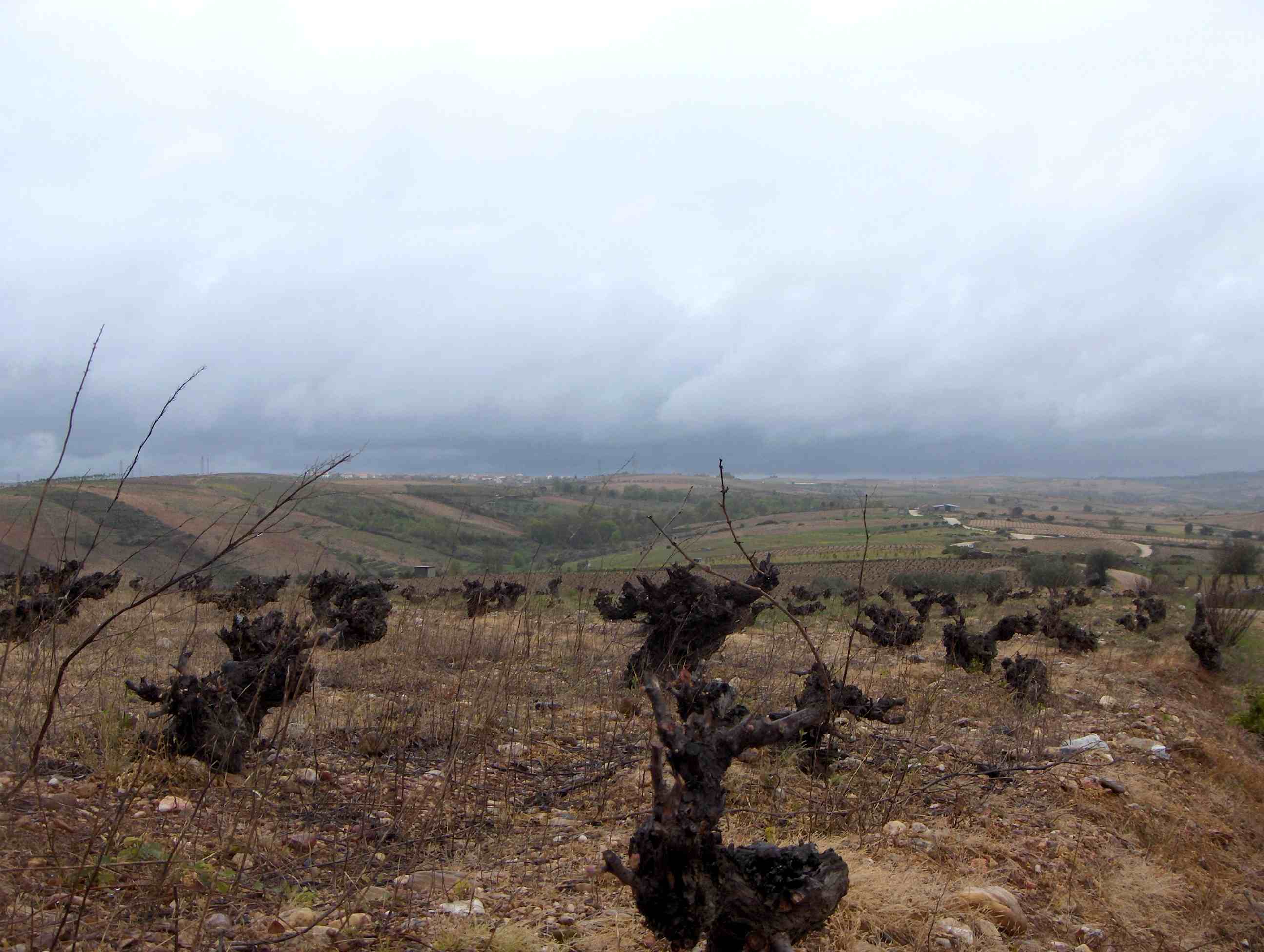 De l Cabeço de la Marrielha, bei-se Sendin a namorar culas nubres de las scarabanadas de Márcio!