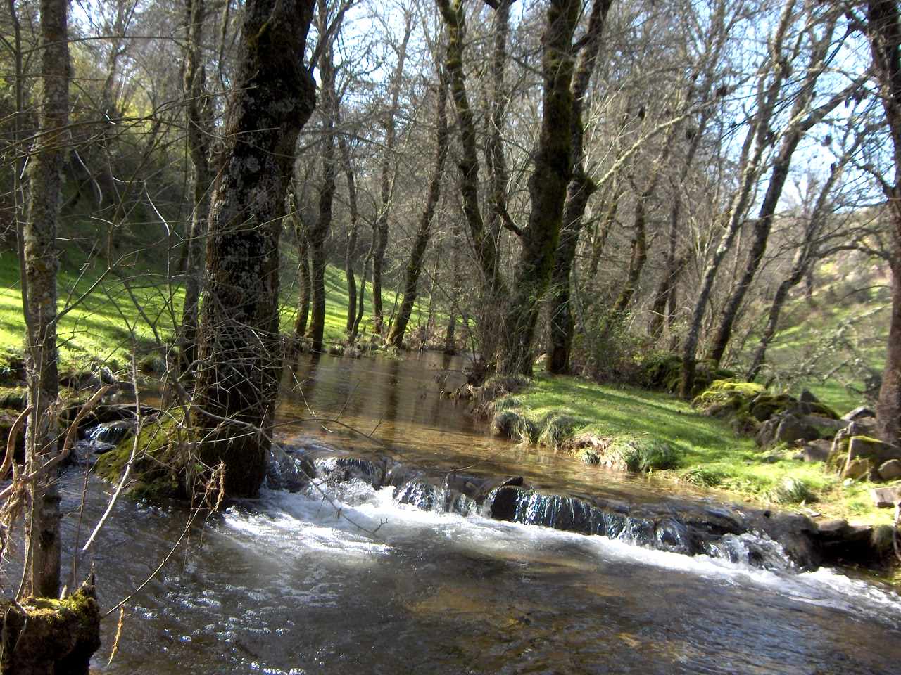 I apuis ls rieiros spierto lebórun l'auga até la ribeira: mission cumprida!