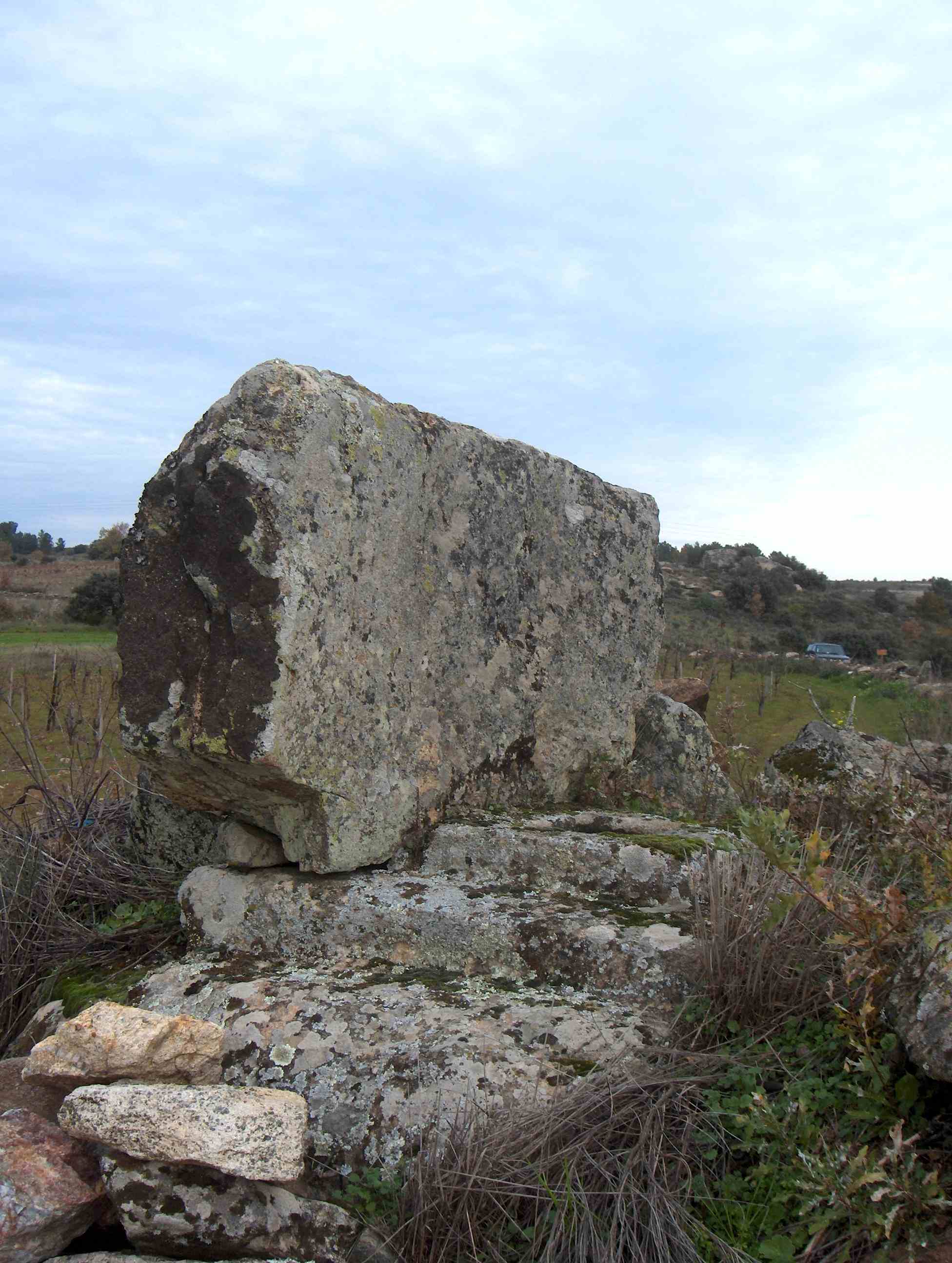 Yá algue beç bistes esta "cousa"? ne l camino de Ruolos, antes de chegar a la ribeira de l Tomelar? Parece un…