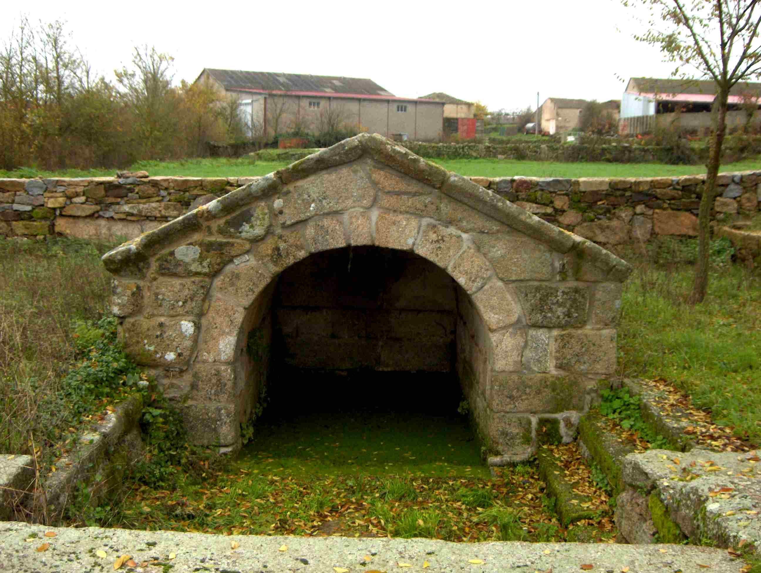Aqui teneis ua fuonte de mergulho aparecida a la Fuonte de l Lugar de Sendin. Ye d'Infainç