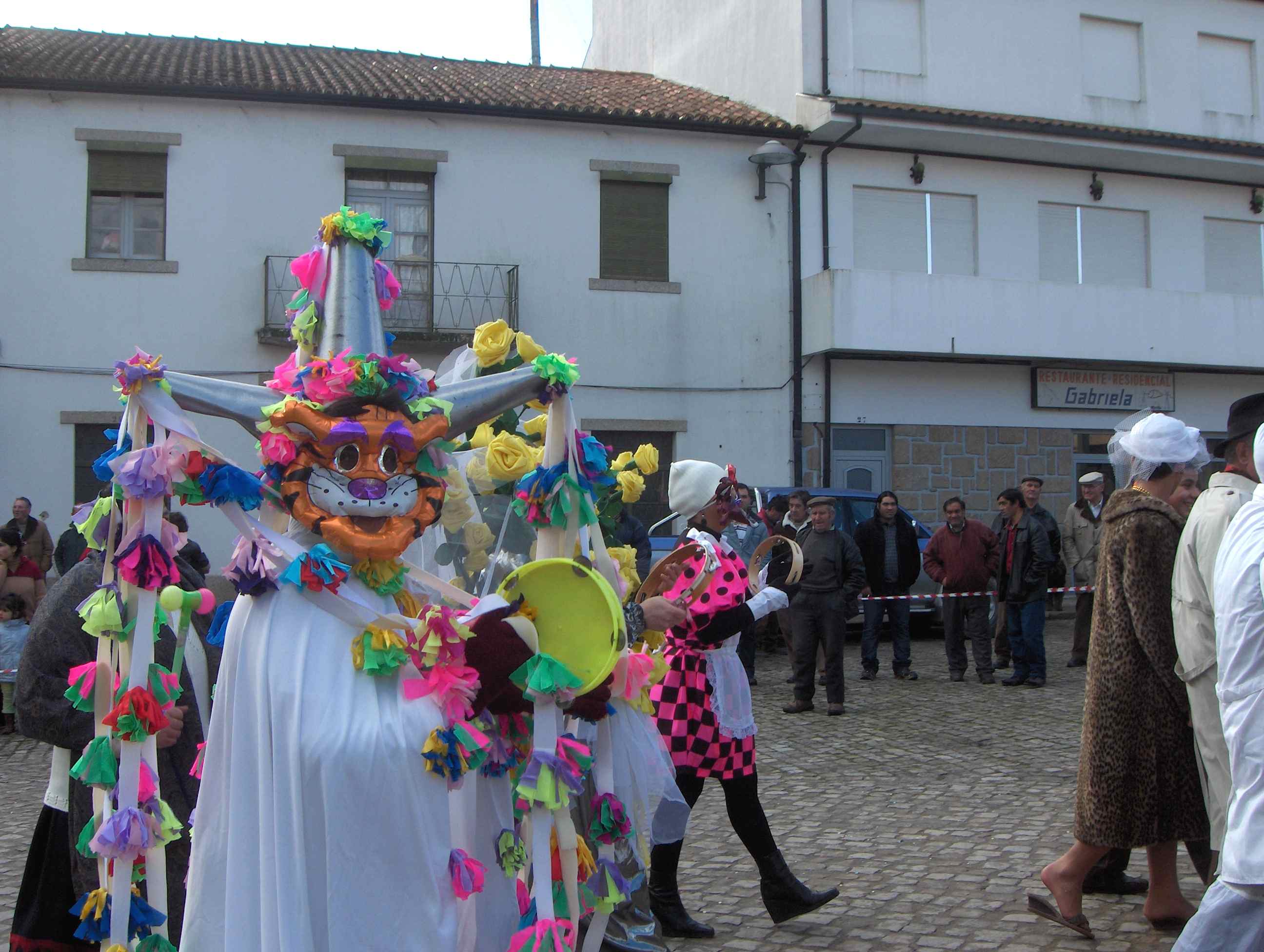 Bichos mui ralos i mui anfeitados…