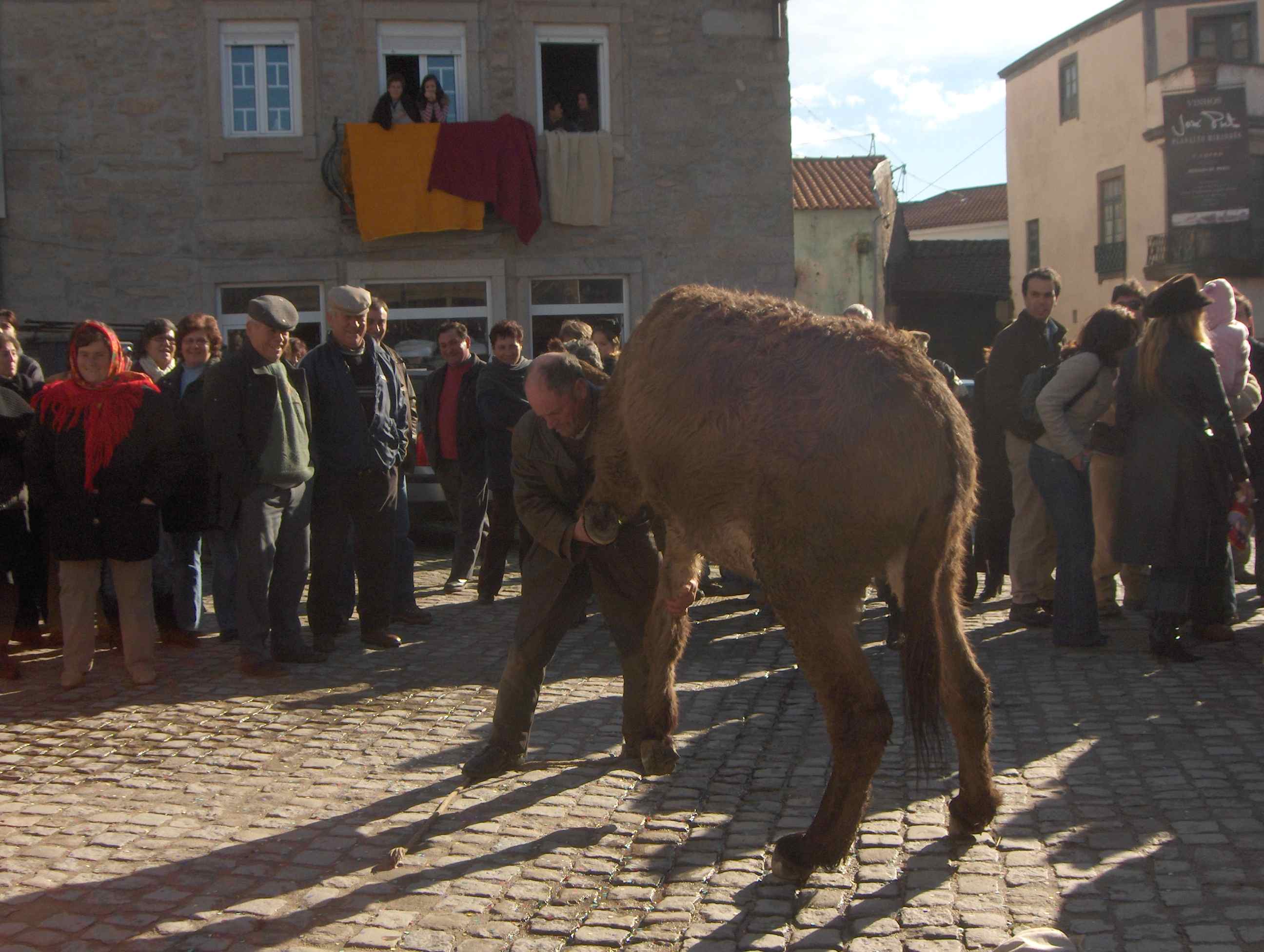 Burros i burras…