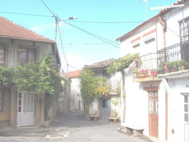 La pracica de Rue La Frauga deixa reluzir la cuncretizaçon de la sue sprança ne ls berdes que yá amadurórun.