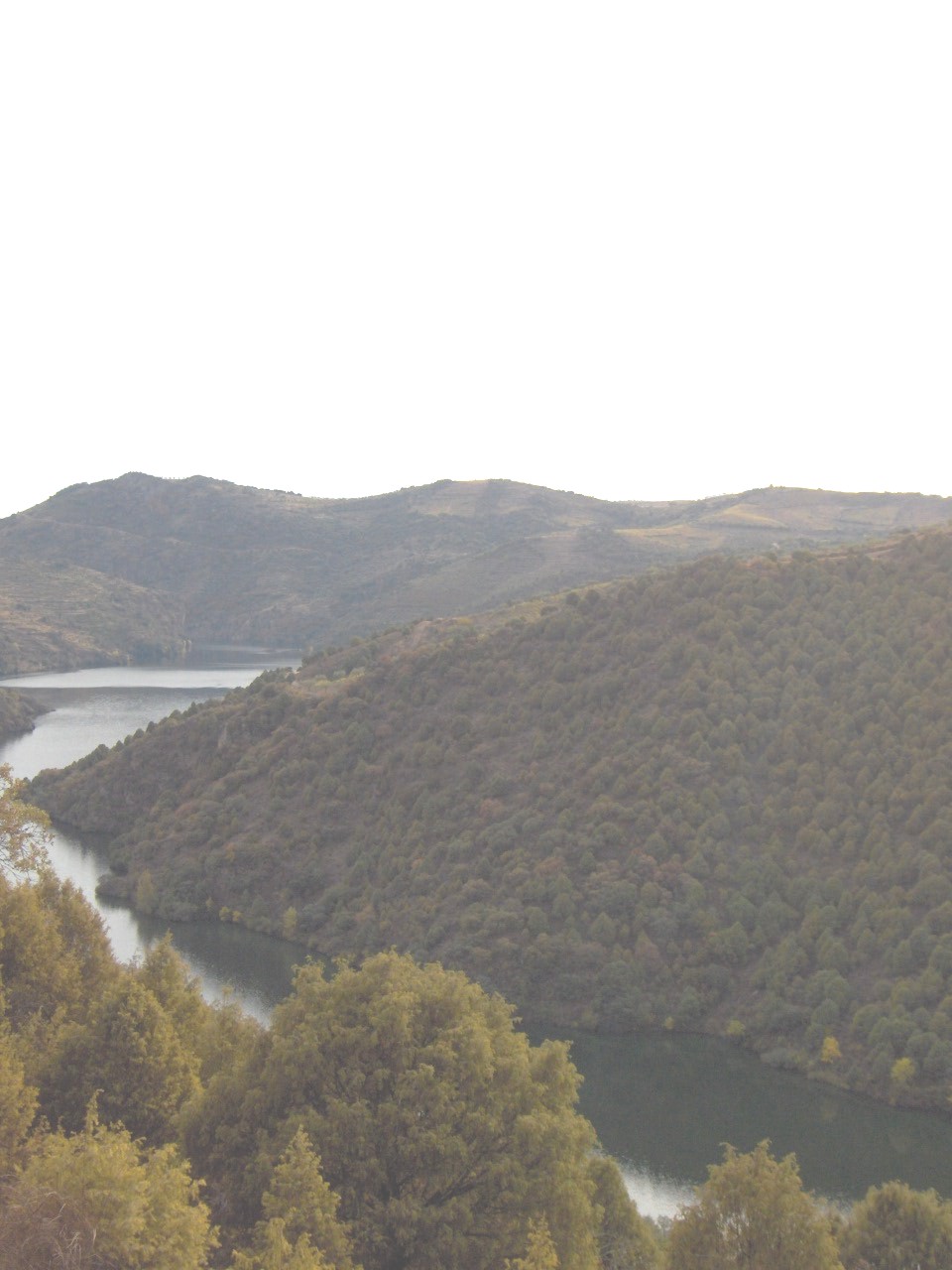 I por fin aquel çponer de l sol acontra l Momo i l termo de Ruolos. Se teneis coraçon teneis que quedar cun…