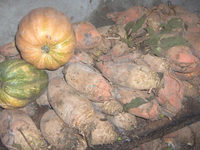 La huorta anchiu la casa de bóbedas i rabas...