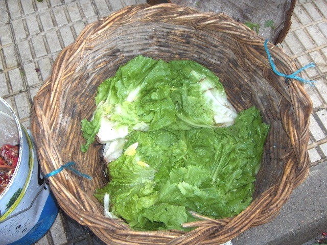 Salada scarola...