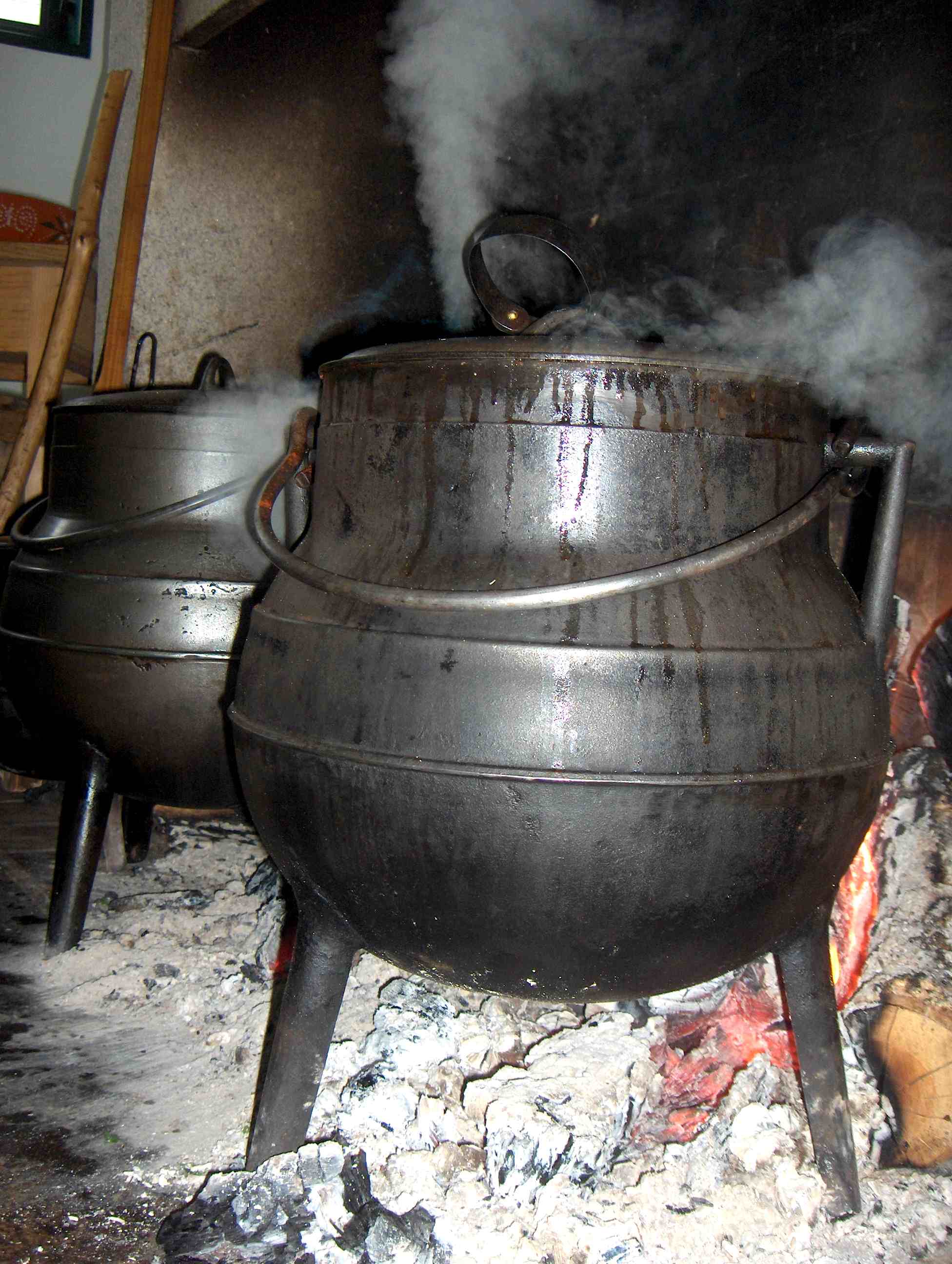 Esta maior stá chenica de cochino brabo, pronto a comer, mas parece que nun bai a ser para bós!