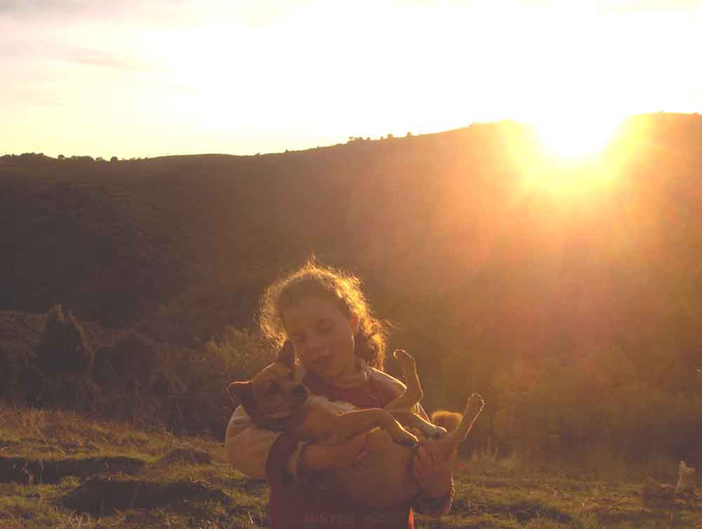 Apuis de la merenda l sol yá se querie ir ambora i la mie Lice ateimou an querer arrolhar l perro i fazé-lo…
