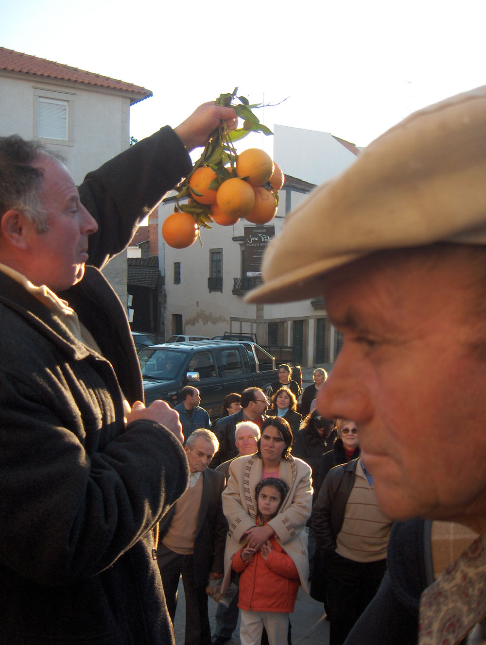 I laranjas de Forcaleiro.