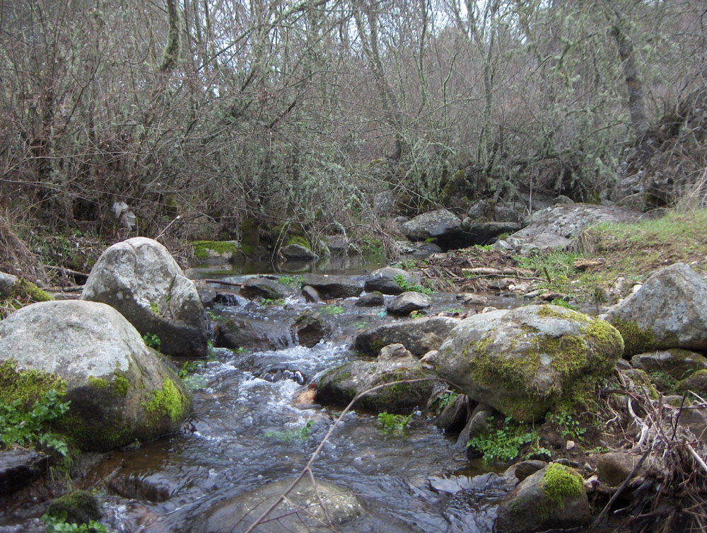 La ribeira tamien staba alhá a agarrar l’auga que ls rieiros lieban.