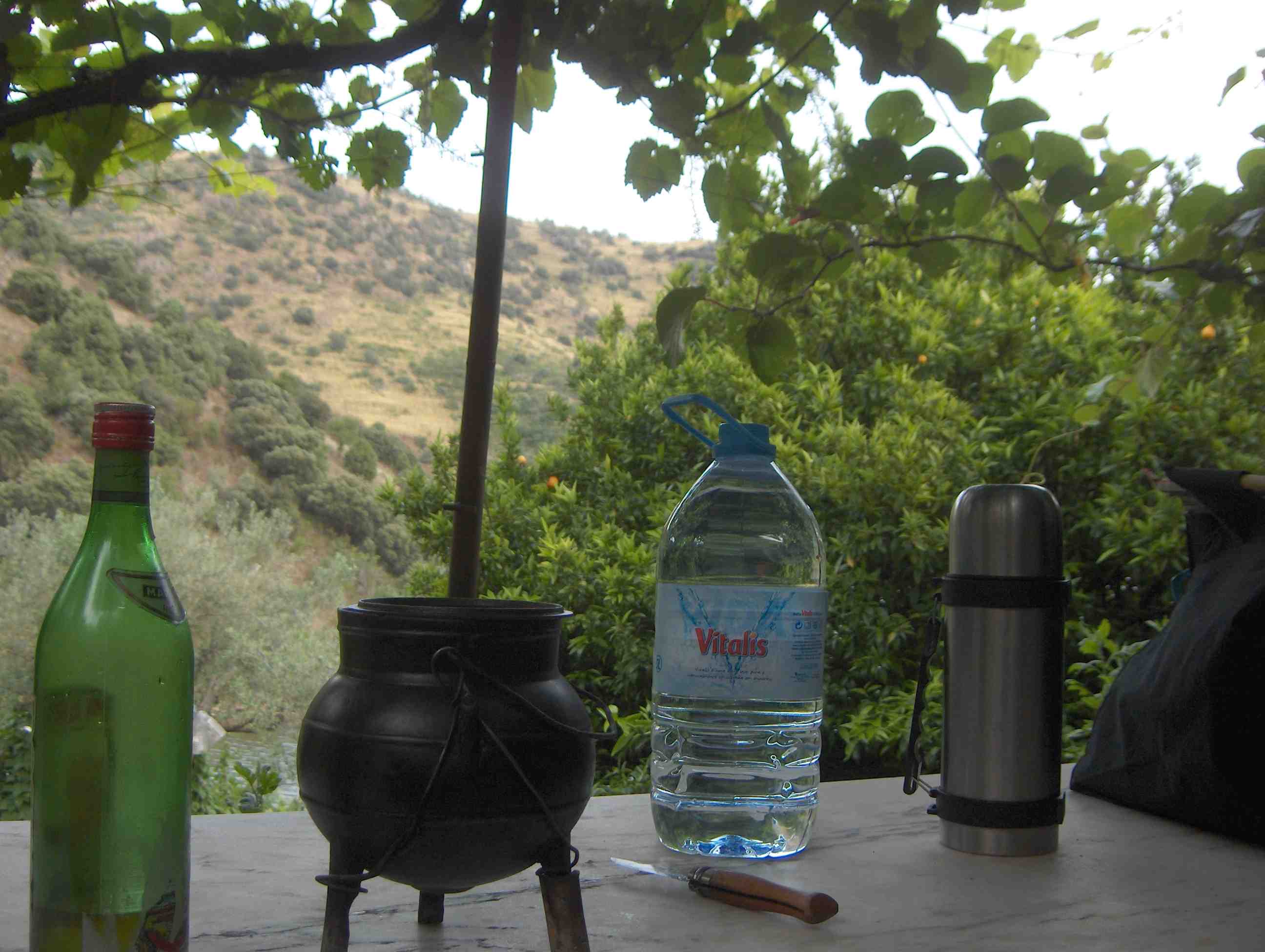 L'auga la panela i l azeite. L palombo i la cebolha íban a ser la cena cun arroç. L café era pa la fin...