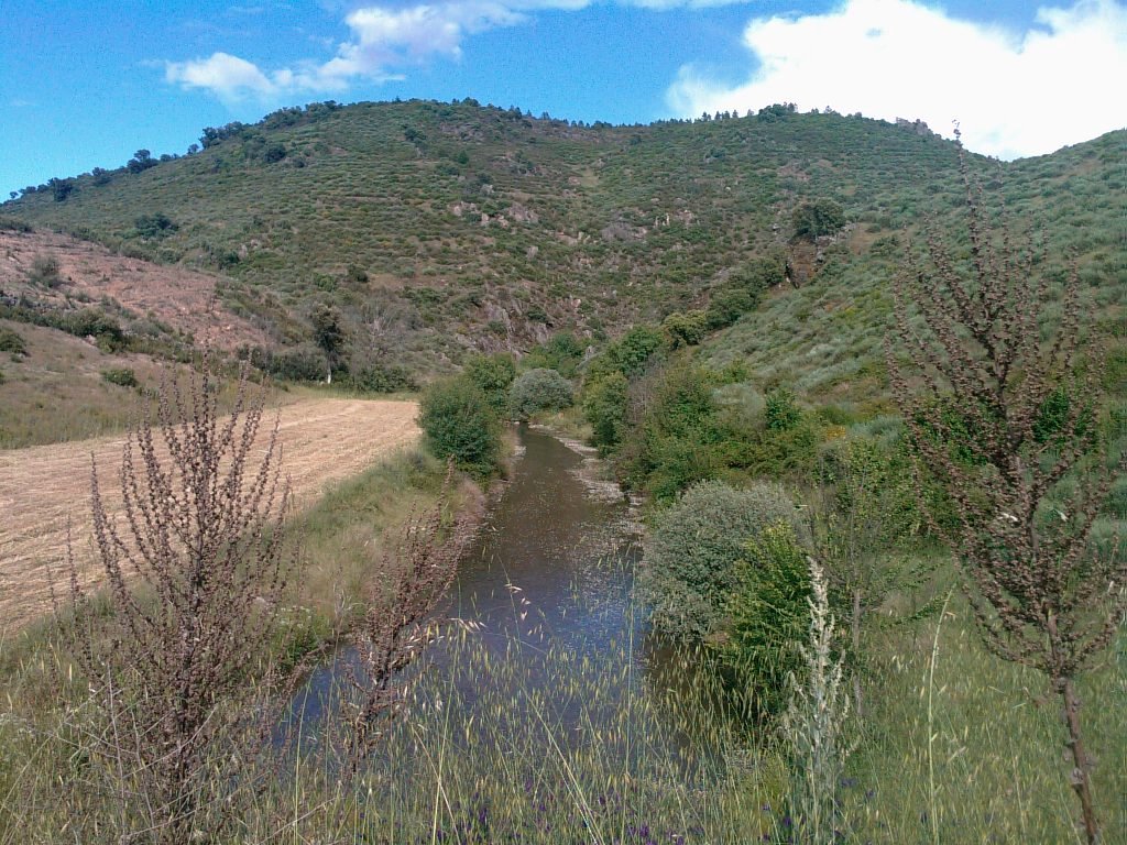 I alhá staba la ribeira de Tortulhas, cula sue auga de risa a labar la cascalheira!