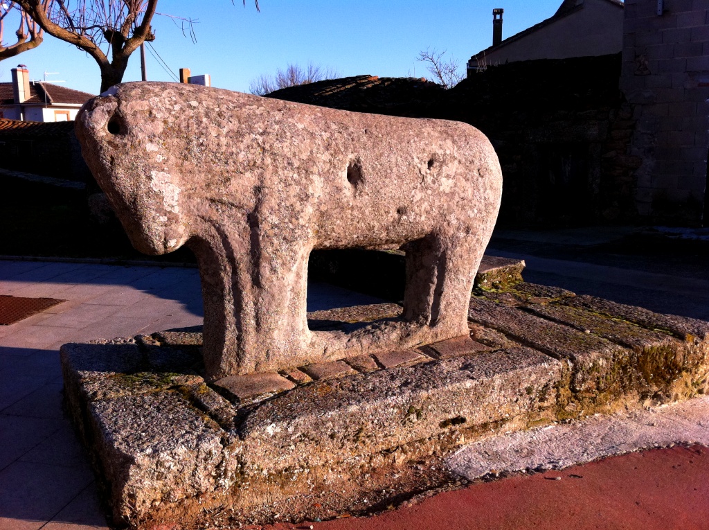 La yeuga de Villardiegua de la Ribera - Torregamones, aporbeita l sol de la tarde!