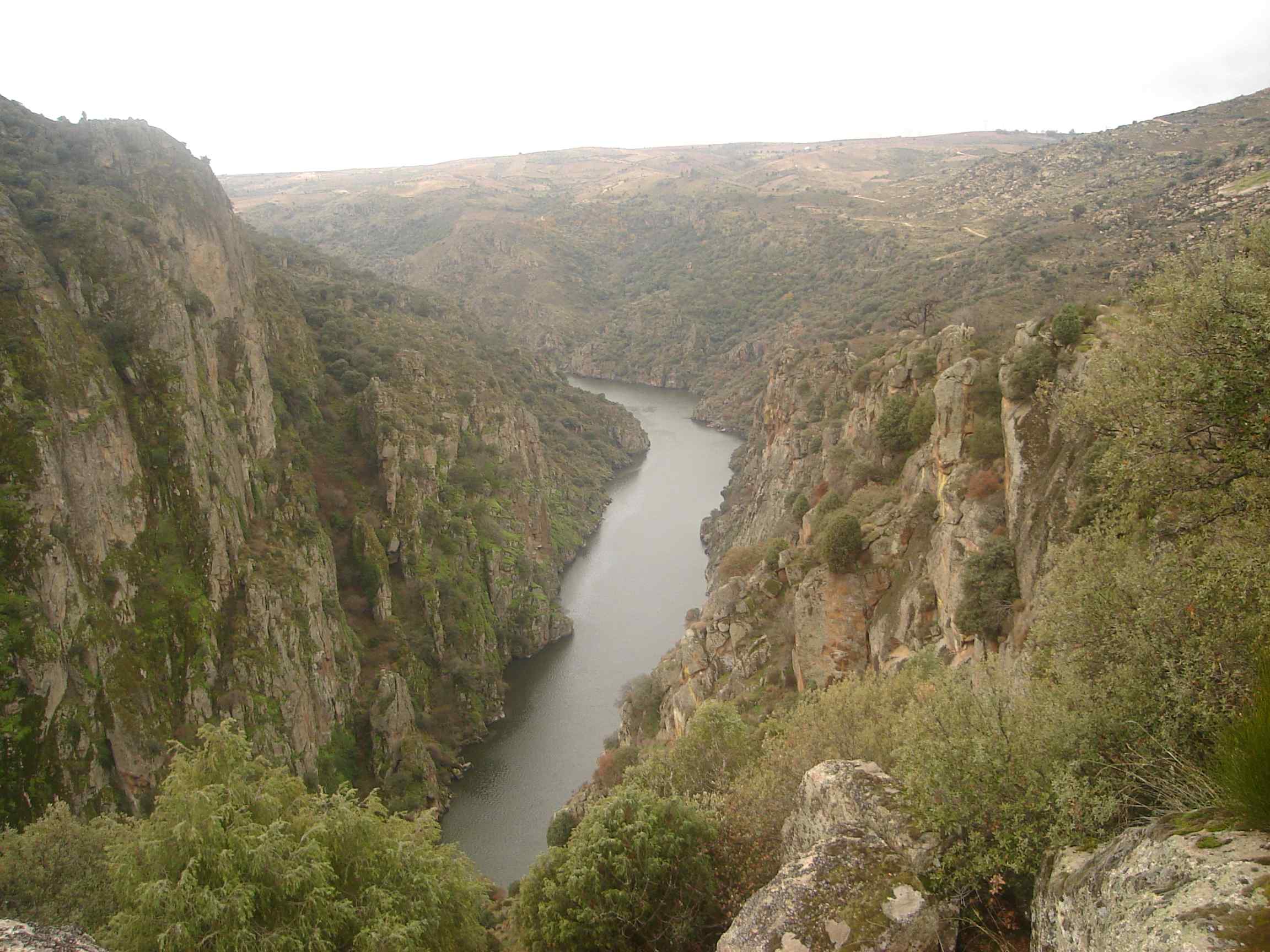 Foto Íris. Sei que yá teniedes gana de ber l riu...