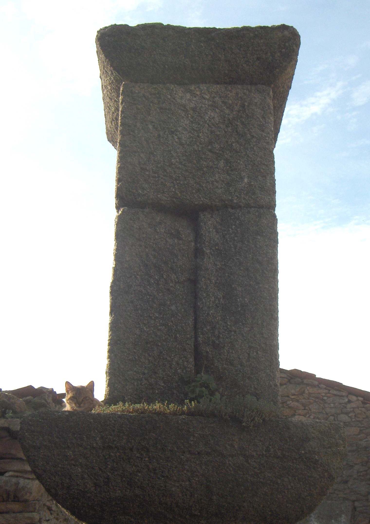 A este gato nun le dou la gana de ir a azeituonas i deixou-se quedar an riba de l sou pie d'amigo!