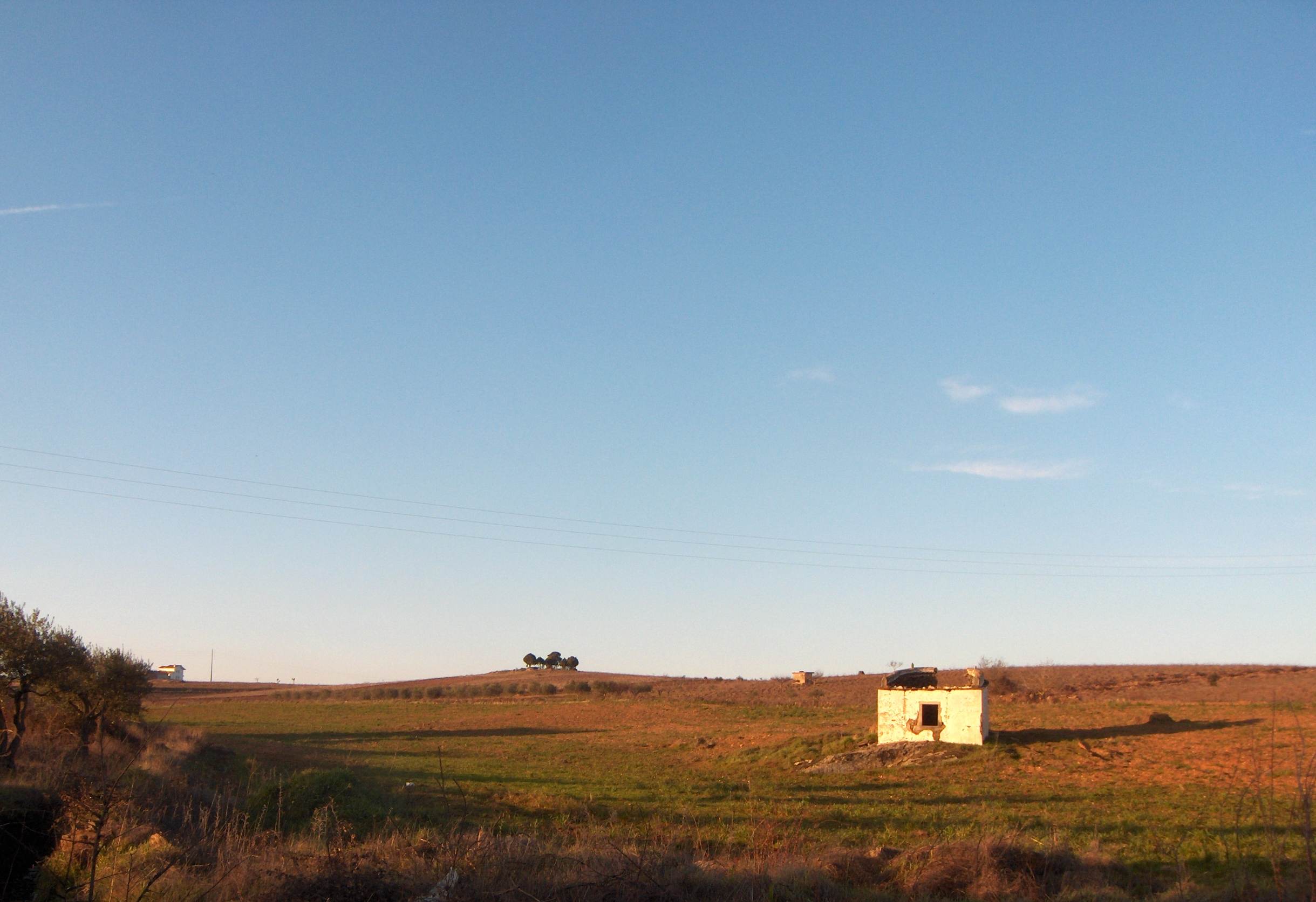 L die onte custou-se a lebantar, mas durante la tarde stube mui marralheiro. Fizo un sol que mais parecie…
