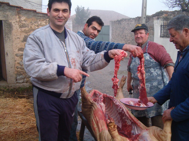 ya se matam cuchinos por Sendim, e comam-se els garrotes.