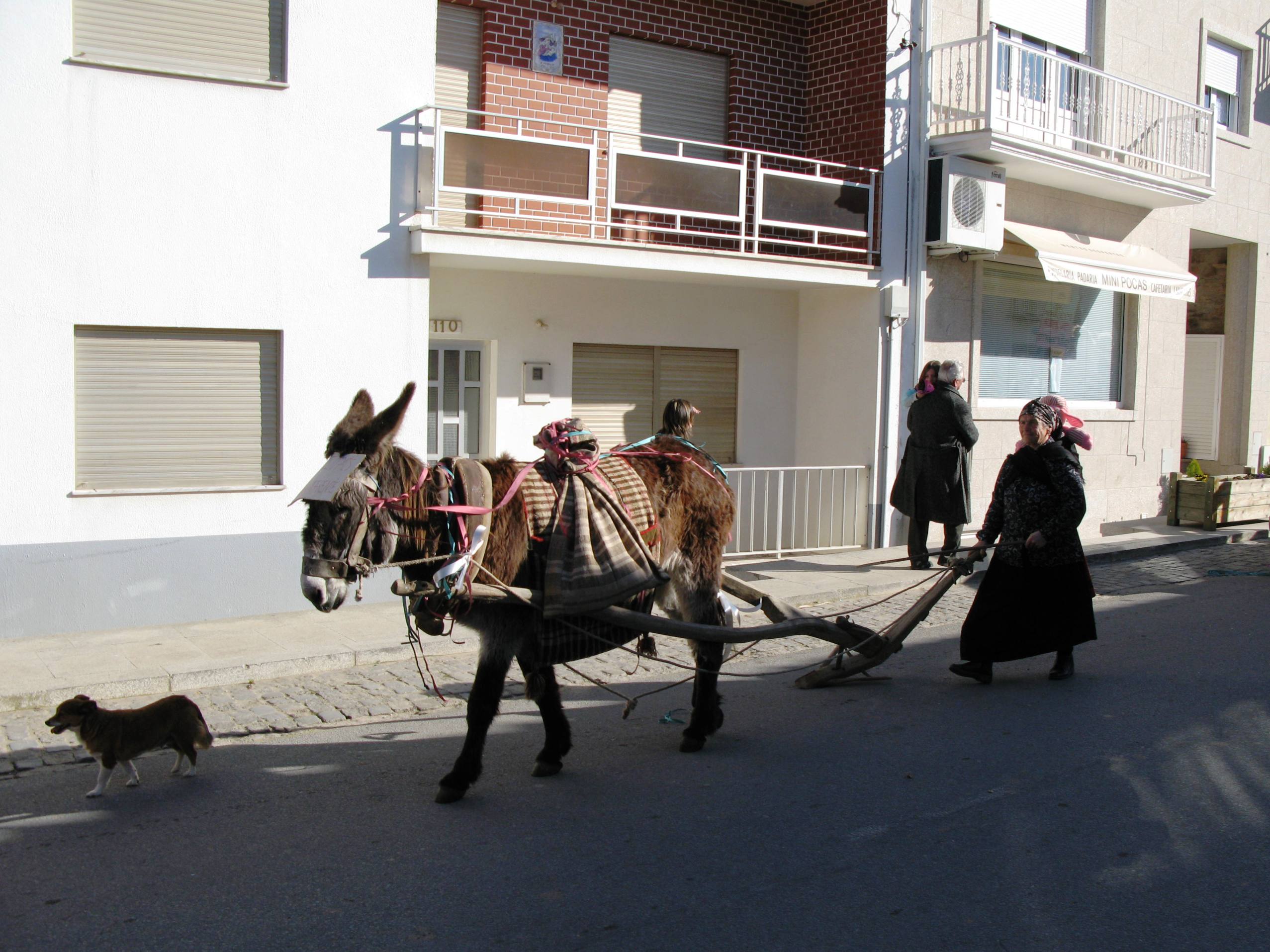 CARNAVAL 2009