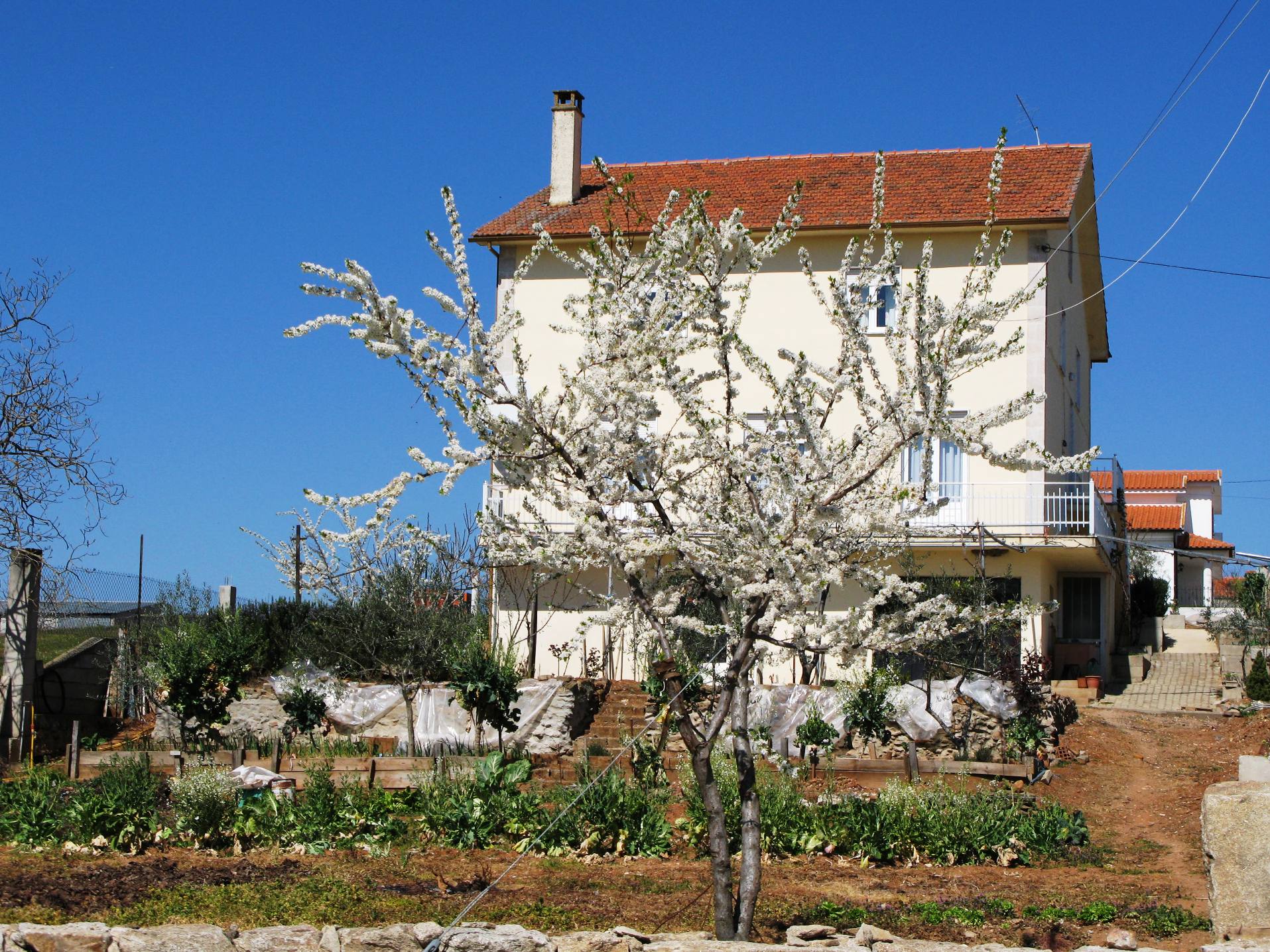 Casa de minha prima MIMI