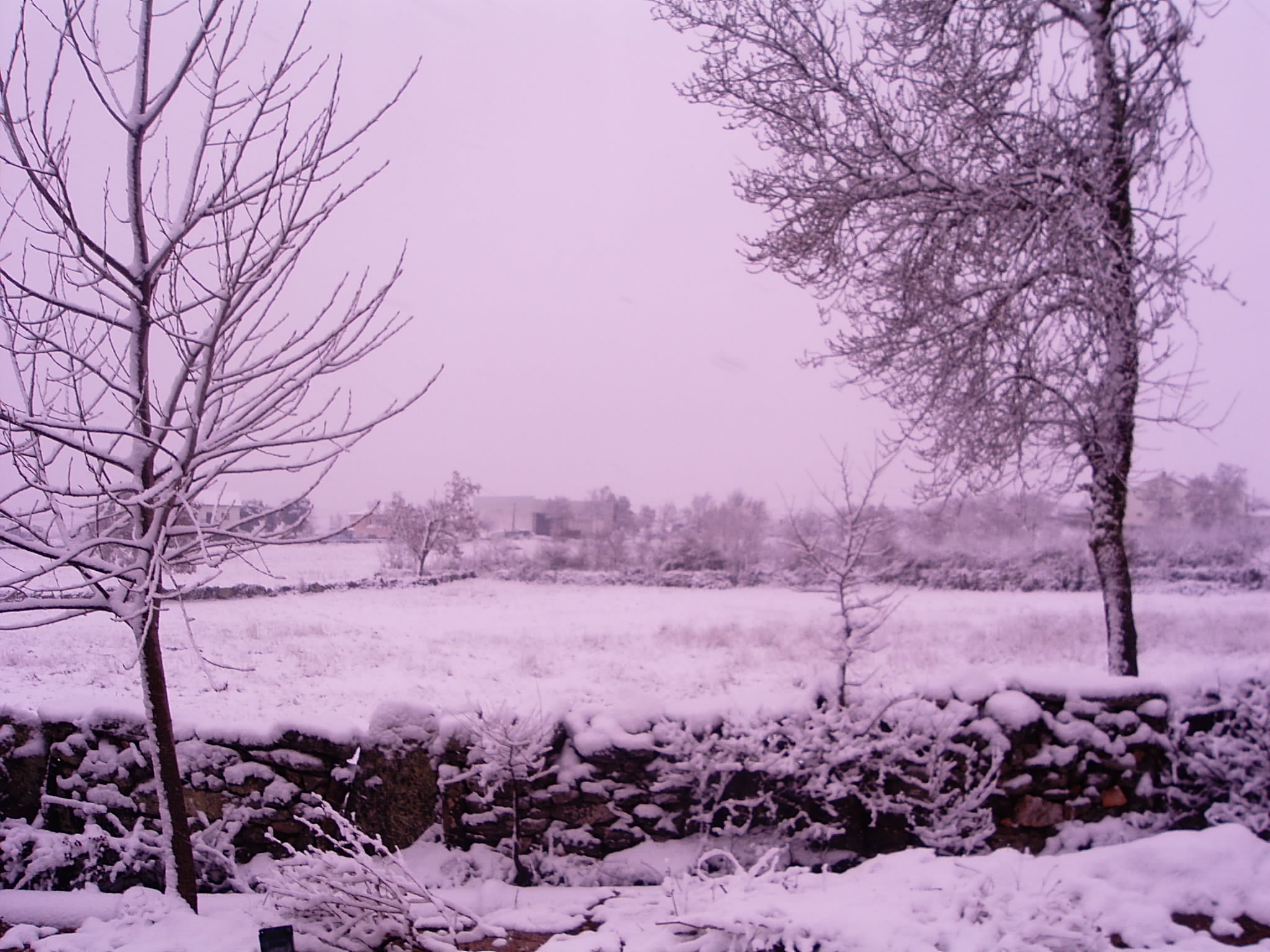 Neve em Sendim (2004)