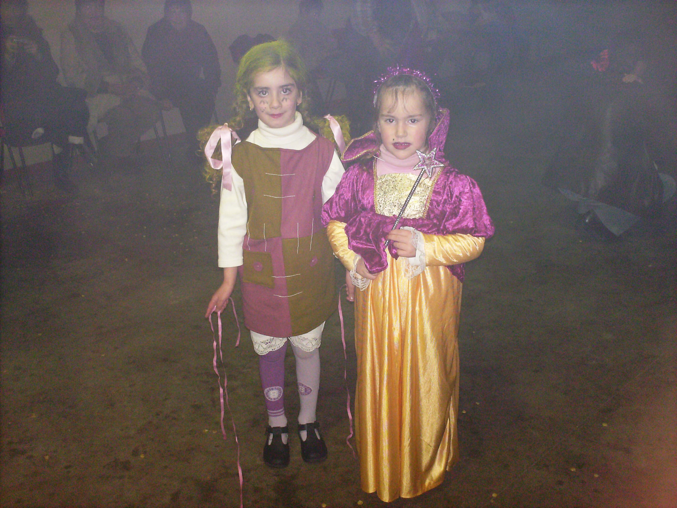 Concurso de máscaras de carnaval 2008 concorrentes