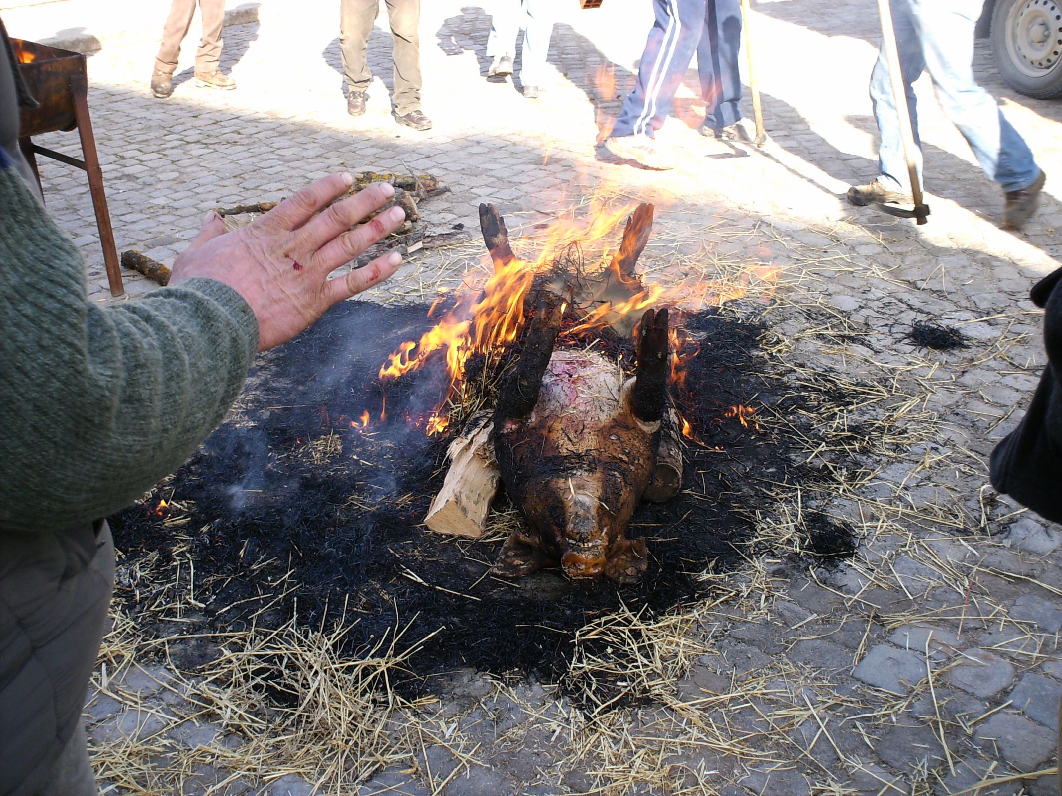 A chamuscar o porco. Companheiros da matança do porco 2007.