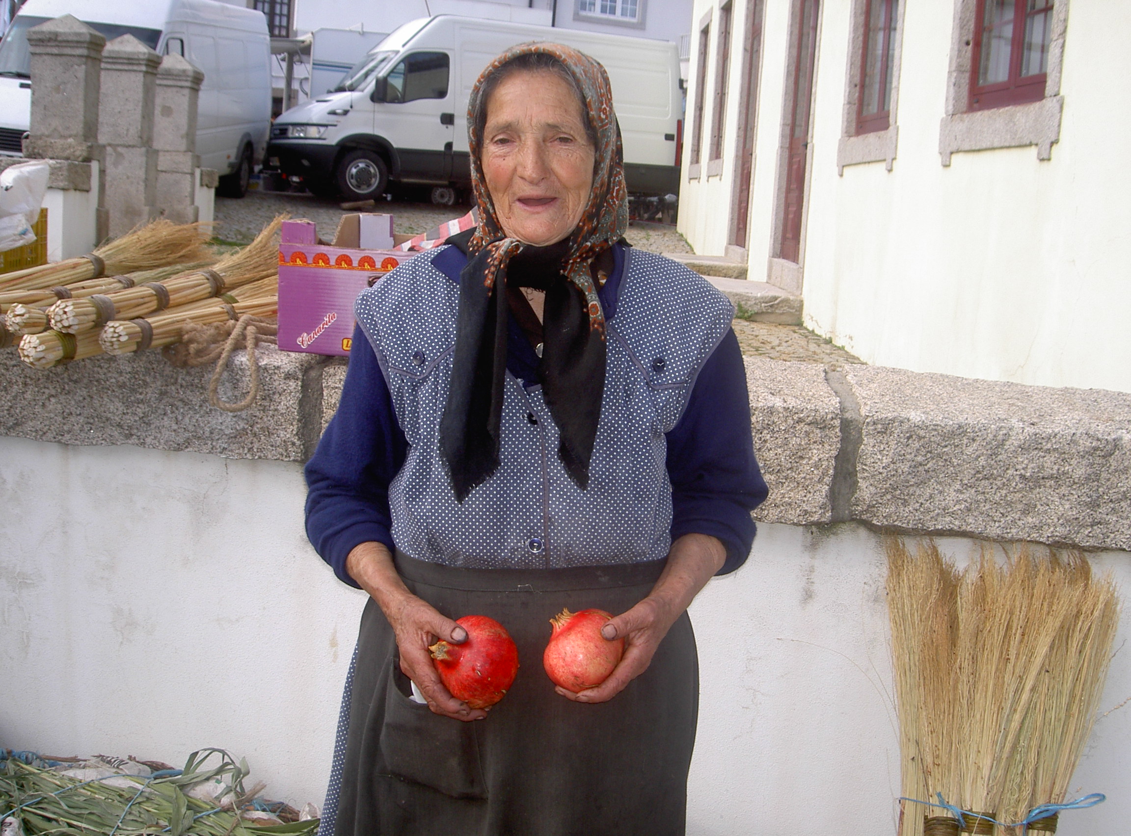 ti arminda peixareira a vender meligranas