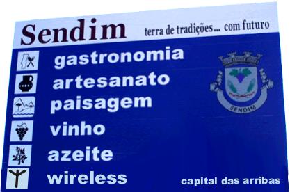 esta podera ser a futura placa a instalar em sendim