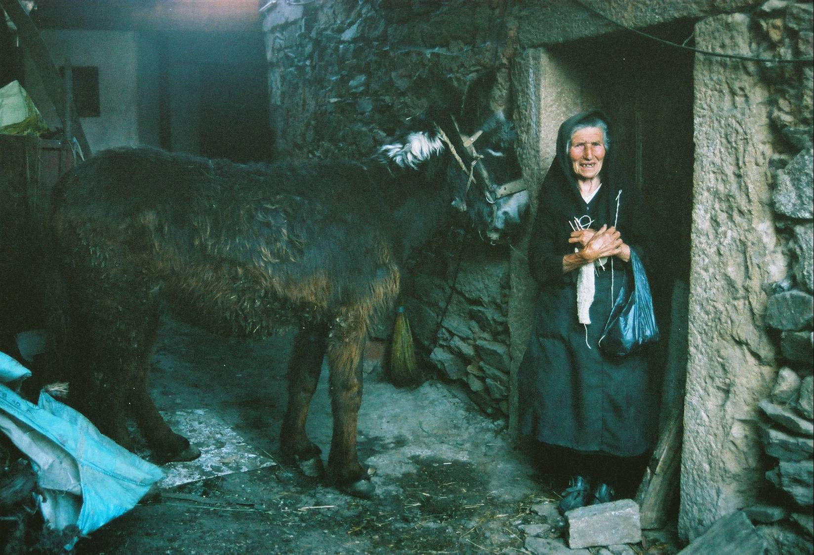 descobri está fotografia no saite da Aepega a dona já desapereceu o burro ainda está na apega com 32 anos